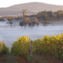 Indigo Ridge Wines